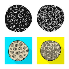 Vector illustration of medicine and clinic symbol. Set of medicine and medical stock symbol for web.