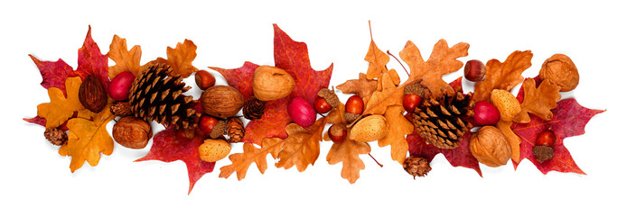 Autumn border of colorful fall leaves, nuts and pine cones. Above view isolated on a white background.