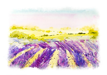 Landscape panorama. Watercolor natural botanical illustration. Natural background. Lavender field. Tuscany. Provence