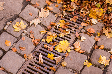 Autumn leaves clogged water drain