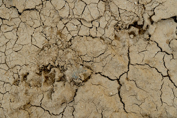 A barren land that is shattered for background and textured.