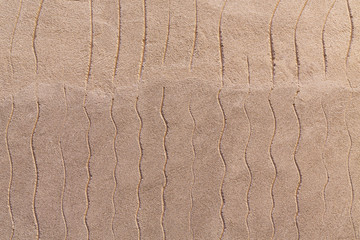 soft beige porous background with extruded wavy lines