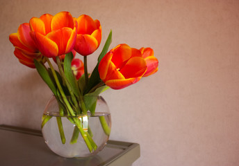 Bright orange tulips