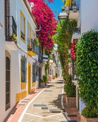 A picturesque and narrow street in Marbella old town, province of Malaga, Andalusia, Spain. - obrazy, fototapety, plakaty