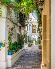 A picturesque and narrow street in Marbella old town, province of Malaga, Andalusia, Spain.
