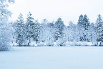 Winter lake landscape in Munich park by Isar river. Snowy trees, frozen water