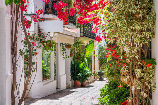 Fototapeta A picturesque and narrow street in Marbella old town, province of Malaga, Andalusia, Spain.