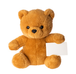 toy bear holding empty card isolated without shadow clipping path