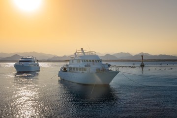 Luxury yacht docking near coral reef