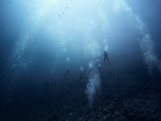 Fototapeta premium Scuba diver descending to the bottom