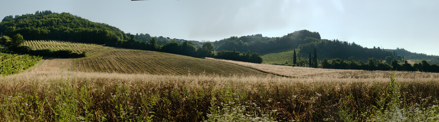 Tuscan agricultural landscape, Florentine district of Montespertoli