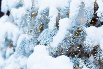Shimmering blur background with shining lights and snow