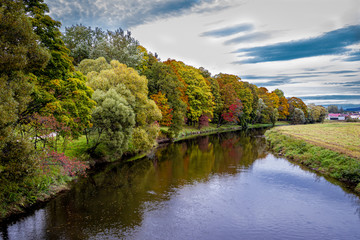 Fototapeta na wymiar Autumn trees at riverbank