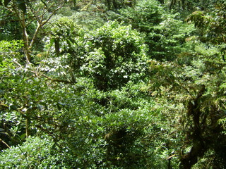 Obraz premium costa rica