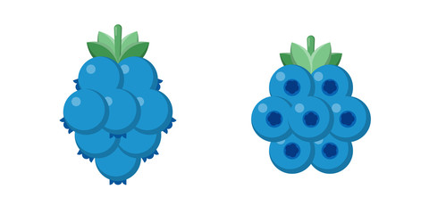 Blueberry icons isolated on white background