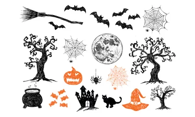 Foto op Aluminium Halloween symbols hand drawn illustrations.  © oldesign