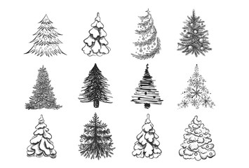 Christmas tree hand drawn illustration