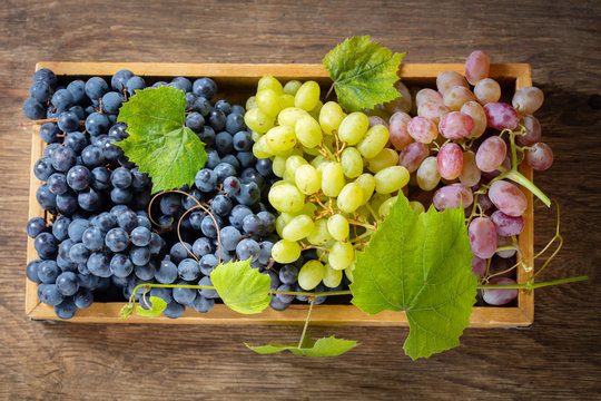 mix of fresh ripe grapes with leaves in a wooden box