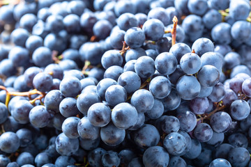 ripe grapes as background
