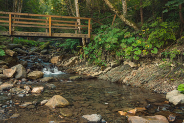 Obraz premium spring colorful mountain forest scenery landscape view with highland rocky water stream and wooden bridge