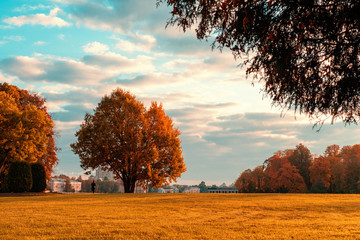 autumn landscape. autumn morning in the Park