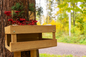 Bird feeder with bunches of mountain ash in the autumn forest.