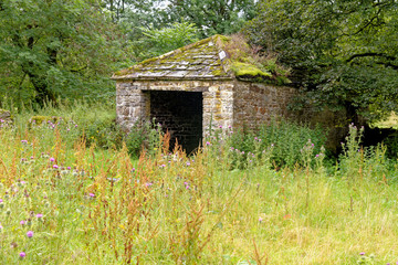 Rural countryside view in Northumberland - North East England