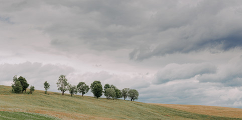 Beautiful wide angle minimalist landscape with green mountain hill and row of summer trees under...