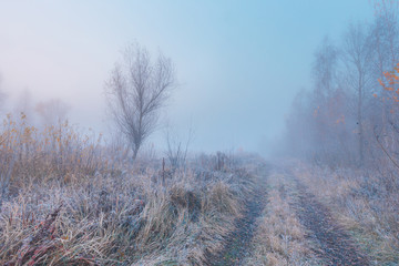 Beautiful autumn misty sunrise landscape. November foggy morning and hoary frost at scenic rural road at high grass copse.