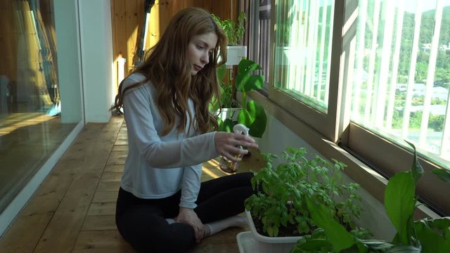 European model watering her basil and taking care of plants. She is kneeling in the window light and carefully spraying the water part 1