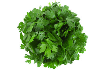 Parsley herb bunch