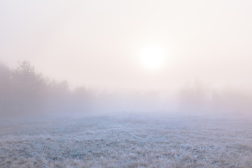 Fototapeta na wymiar Beautiful autumn misty sunrise landscape. November foggy morning and hoary frost on the grass at scenic meadow.