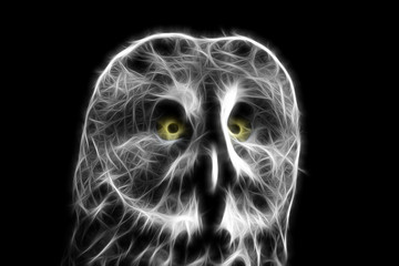 Fractal image of a large night owl - a bearded owl on a contrasting black background