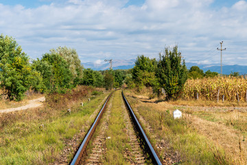 Fototapeta na wymiar Railway passing through a rural landscape with green trees and ready to be harvested corn crops leading towards mountain silhouettes in the distance.