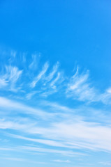 Blue sky with white clouds like feathers