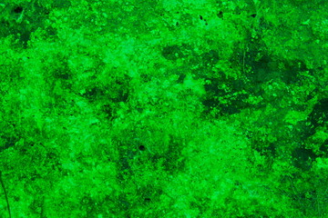 Green abstract wall texture for background