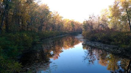 Fototapeta premium autumn landscape with lake and trees