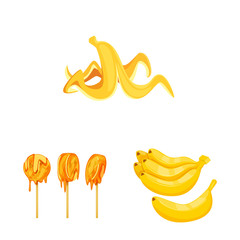 Vector design of tropical and ripe symbol. Collection of tropical and potassium vector icon for stock.