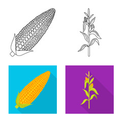 Vector illustration of cornfield and vegetable logo. Set of cornfield and vegetarian stock vector illustration.