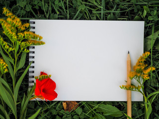 notebook with empty space lies on the grass