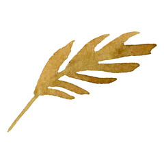 Orange leaves floral botanical flowers. Watercolor background set. Isolated leaf illustration element.