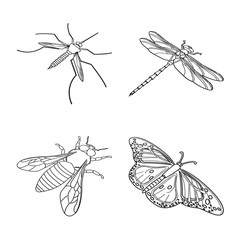 Vector illustration of fauna and entomology icon. Collection of fauna and animal stock vector illustration.