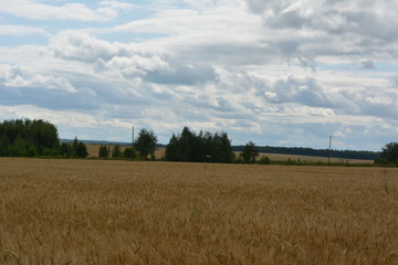 Obraz premium Cheboksary