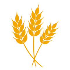Wheat or barley ears. Harvest wheat grain, growth rice stalk and whole bread grains or field cereal nutritious rye grained agriculture products ear symbol. Isolated vector icon