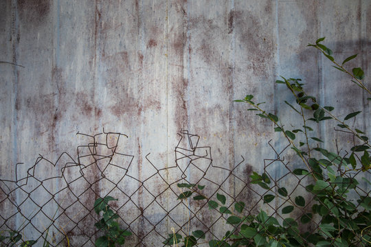 Old net fencing and tree branches in front of a wall - Sevan, Armenia