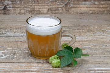 A glass of beer and a branch of hops with cones.