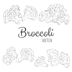 Hand drawn composition with broccoli.