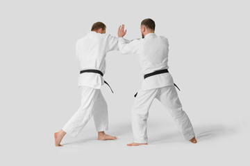 Two caucasian men are practicing aikido on the tatami (isolation path included)