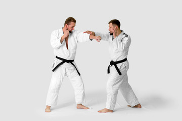 Two caucasian men are practicing aikido on the tatami (isolation path included)