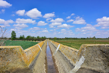 Fototapeta na wymiar crop field next to the canal under a teaching sky